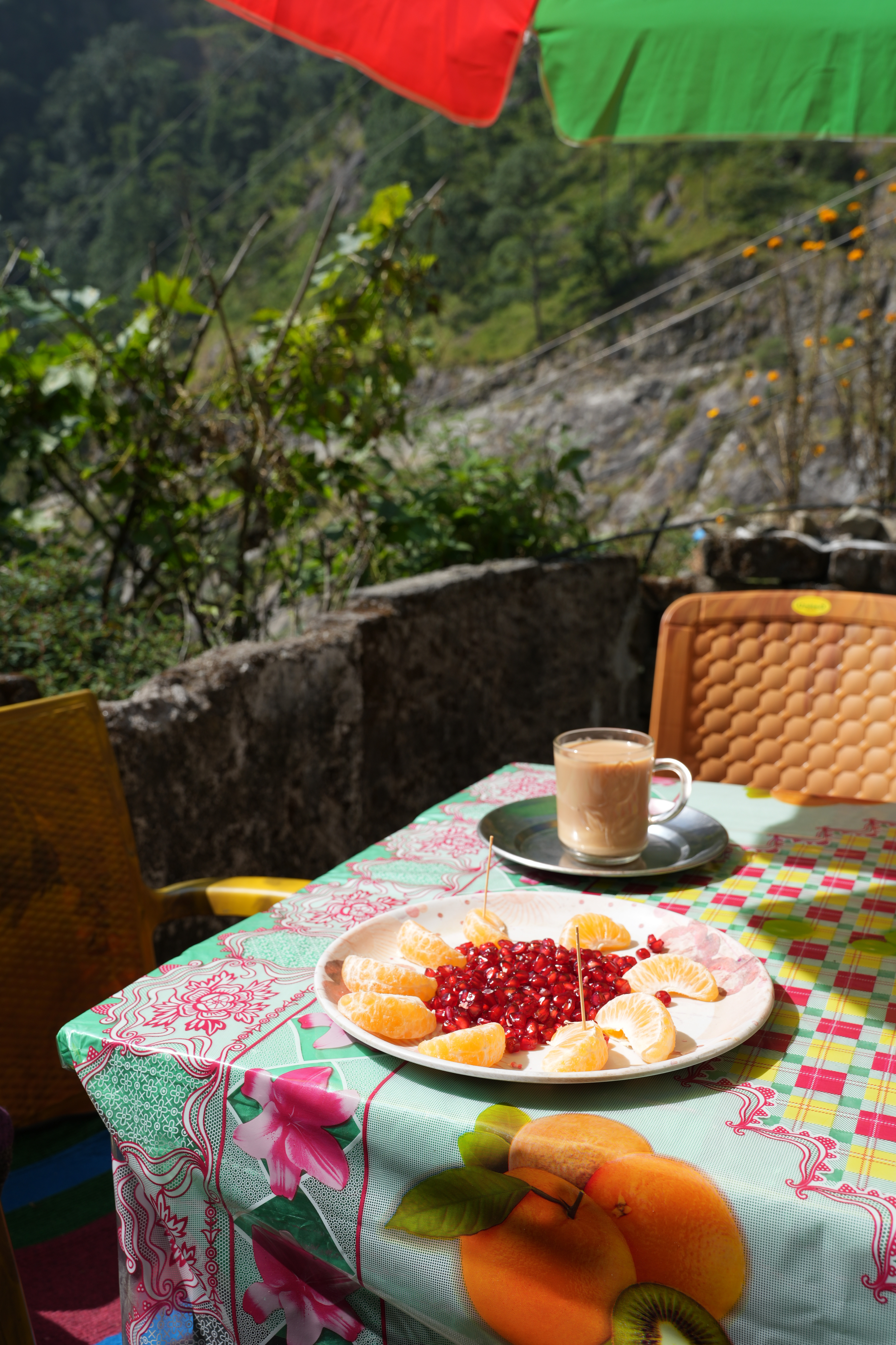 Reisblog Nepal 8 - Dianne Goes